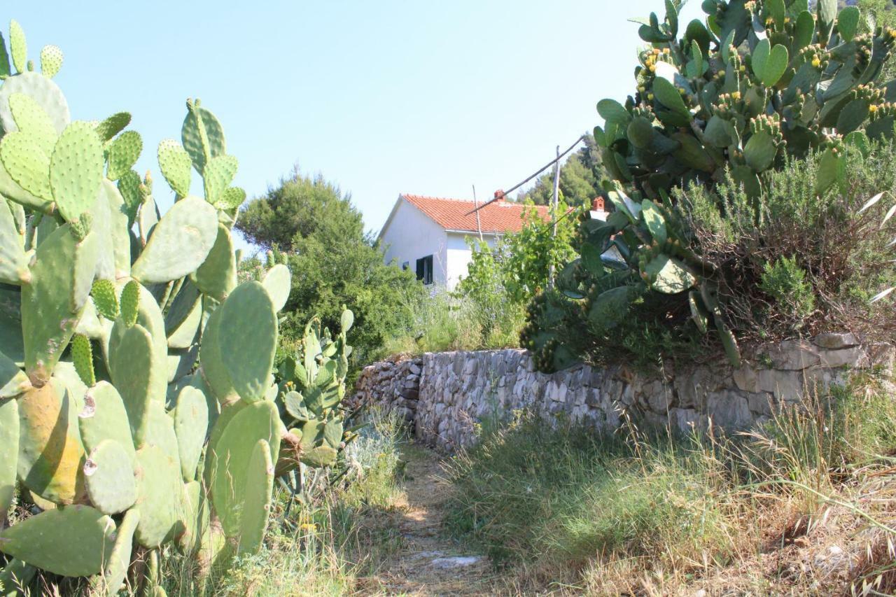 Stiniva Hvar Town