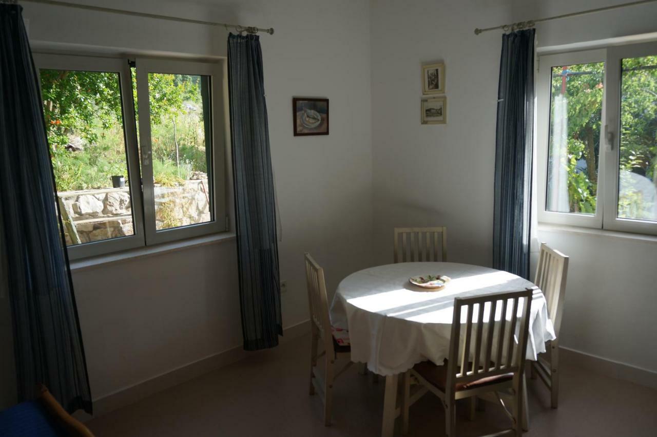 Apartment Stiniva *